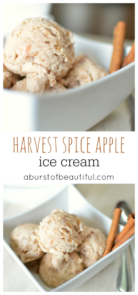 Harvest Spice Apple Ice Cream